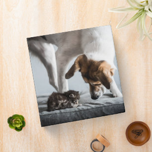 Cutest Baby Animals Baby Kitten & Dog Binder