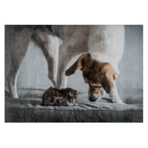 Cutest Baby Animals   Baby Kitten & Dog Cutting Board