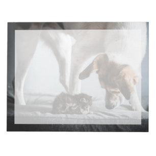 Cutest Baby Animals   Baby Kitten & Dog Notepad