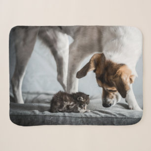 Cutest Baby Animals   Baby Kitten & Dog Sherpa Blanket