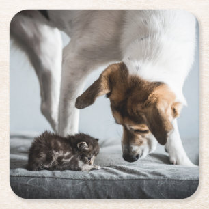 Cutest Baby Animals   Baby Kitten & Dog Square Paper Coaster