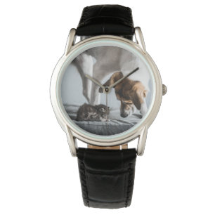 Cutest Baby Animals   Baby Kitten & Dog Watch