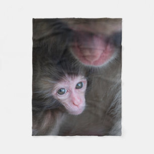 Cutest Baby Animals   Baby Macaque Monkey & Mother Fleece Blanket