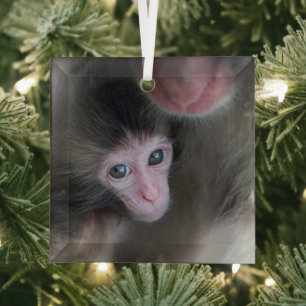 Cutest Baby Animals   Baby Macaque Monkey & Mother Glass Ornament