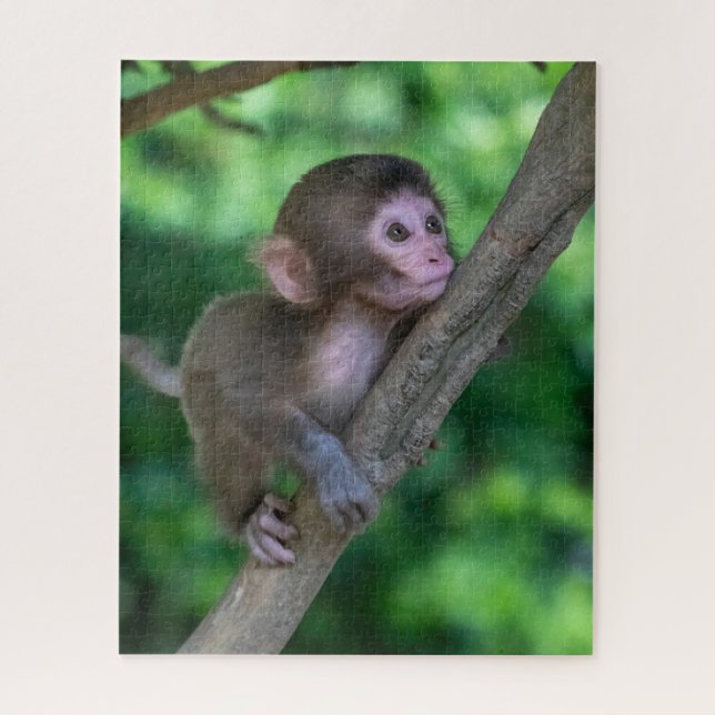 Cutest Baby Animals | Baby Monkey Jigsaw Puzzle (Vertical)