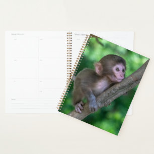 Cutest Baby Animals   Baby Monkey Planner