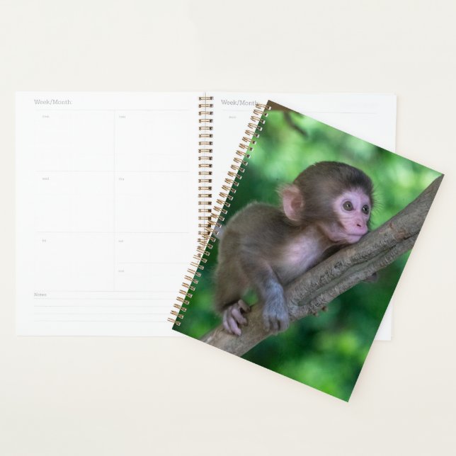 Cutest Baby Animals | Baby Monkey Planner (Display)