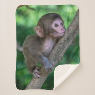 Cutest Baby Animals Baby Monkey Sherpa Blanket