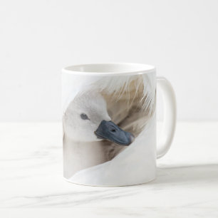Cutest Baby Animals   Baby Mute Swan Coffee Mug