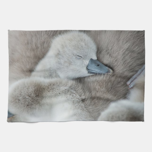 Cutest Baby Animals | Baby Mute Swan Kitchen Towel (Horizontal)