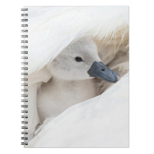 Cutest Baby Animals Baby Mute Swan Notebook