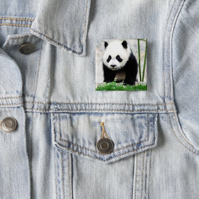 Cutest Baby Animals | Baby Panda Bear 2 Inch Square Button (In Situ)