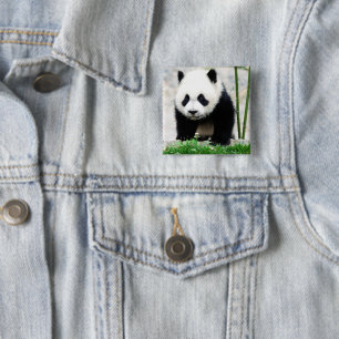 Cutest Baby Animals Baby Panda Bear 2 Inch Square Button