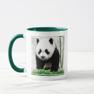Cutest Baby Animals   Baby Panda Bear Mug