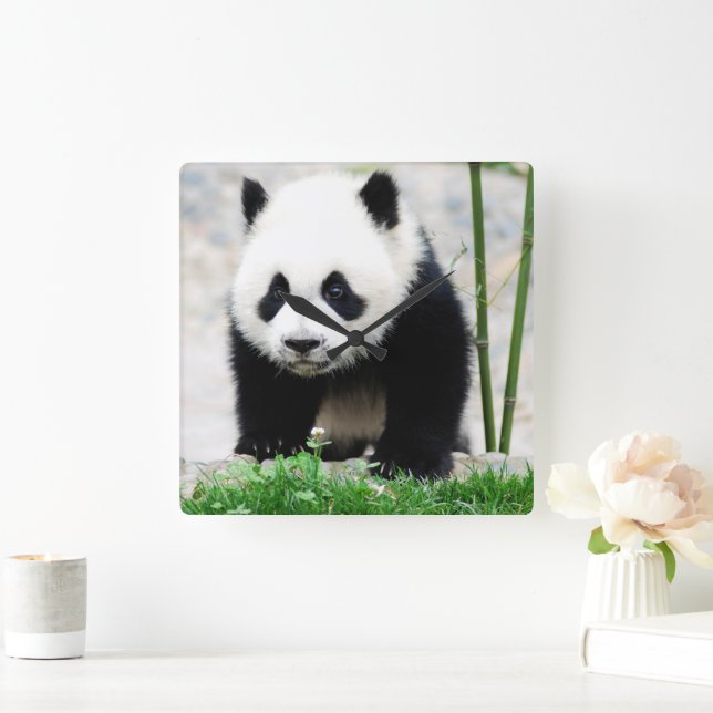 Cutest Baby Animals | Baby Panda Bear Square Wall Clock (Home)