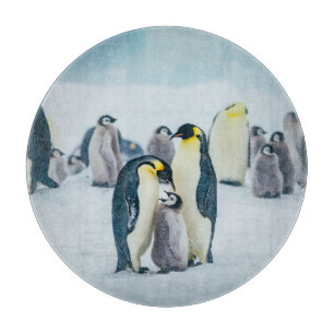 Cutest Baby Animals Baby Penguin Feeding Cutting Board