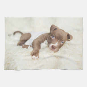 Cutest Baby Animals   Baby Pit Bull Puppy Kitchen Towel