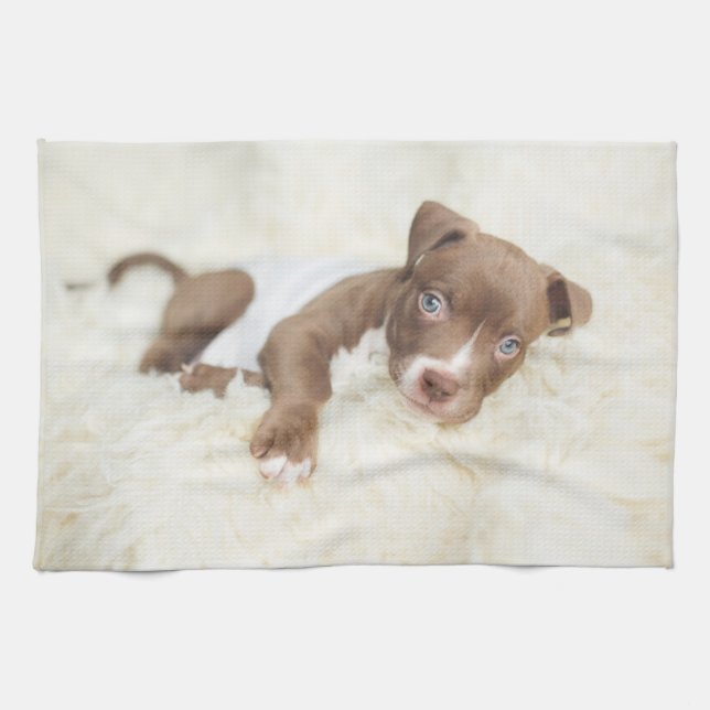 Cutest Baby Animals | Baby Pit Bull Puppy Kitchen Towel (Horizontal)