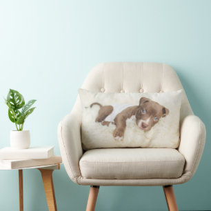 Cutest Baby Animals   Baby Pit Bull Puppy Lumbar Pillow