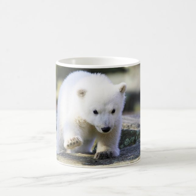 Cutest Baby Animals | Baby Polar Bear Cub Coffee Mug (Center)