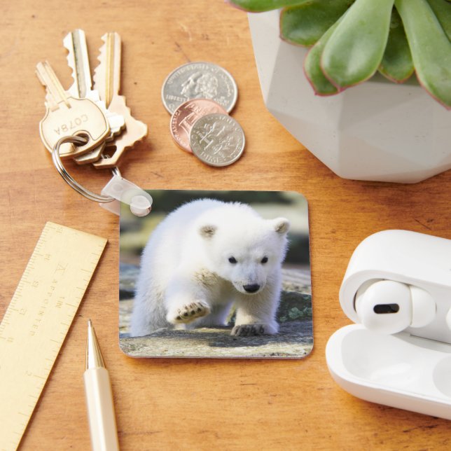 Cutest Baby Animals | Baby Polar Bear Cub Keychain (Desk)