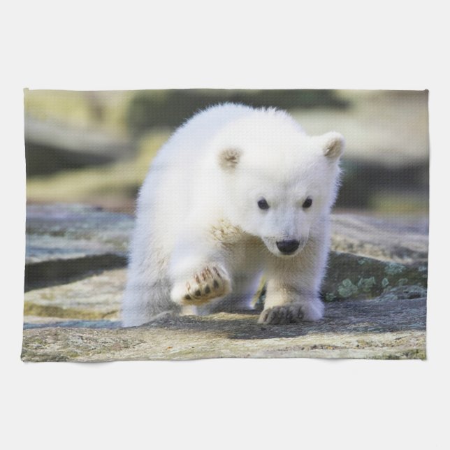 Cutest Baby Animals | Baby Polar Bear Cub Kitchen Towel (Horizontal)