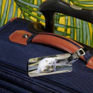 Cutest Baby Animals   Baby Polar Bear Cub Luggage Tag