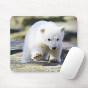 Cutest Baby Animals Baby Polar Bear Cub Mouse Pad