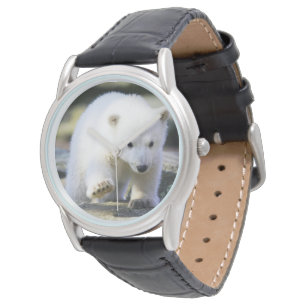 Cutest Baby Animals   Baby Polar Bear Cub Watch