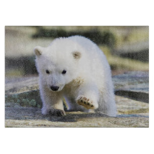 Cutest Baby Animals Baby Polar Bear Cutting Board