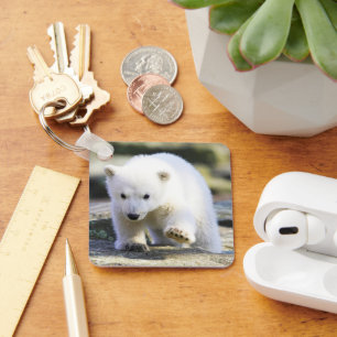 Cutest Baby Animals   Baby Polar Bear Keychain
