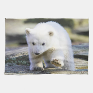 Cutest Baby Animals Baby Polar Bear Kitchen Towel