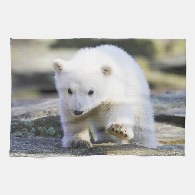 Cutest Baby Animals | Baby Polar Bear Kitchen Towel (Horizontal)