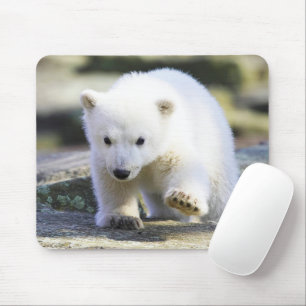 Cutest Baby Animals Baby Polar Bear Mouse Pad