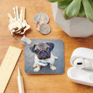 Cutest Baby Animals Baby Pug Keychain