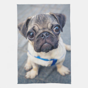 Cutest Baby Animals Baby Pug Kitchen Towel