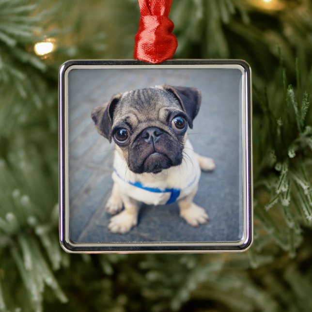Cutest Baby Animals | Baby Pug Metal Ornament (Tree)