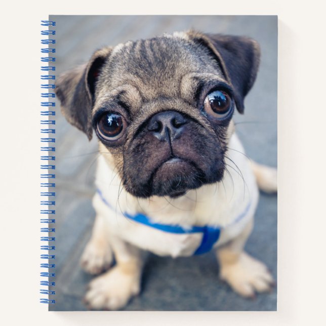 Cutest Baby Animals | Baby Pug Notebook (Front)