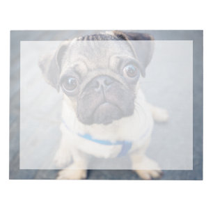 Cutest Baby Animals   Baby Pug Notepad