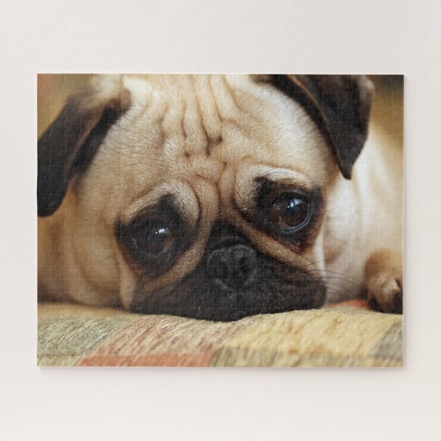 Cutest Baby Animals | Baby Pug Puppy Jigsaw Puzzle (Horizontal)