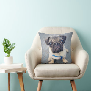 Cutest Baby Animals   Baby Pug Throw Pillow