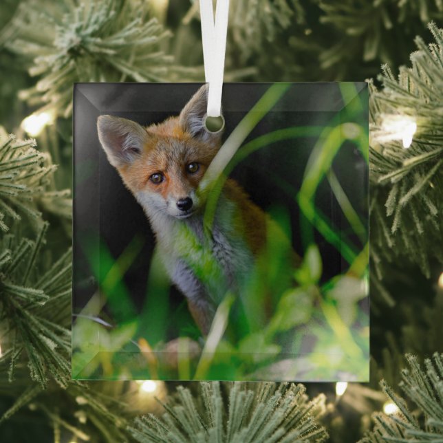 Cutest Baby Animals | Baby Red Fox Glass Ornament (Insitu)