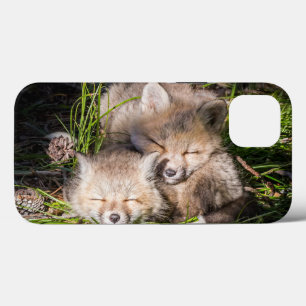 Cutest Baby Animals   Baby Red Fox Kits Sleeping iPhone 13 Case