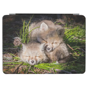 Cutest Baby Animals   Baby Red Fox Kits Sleeping iPad Air Cover