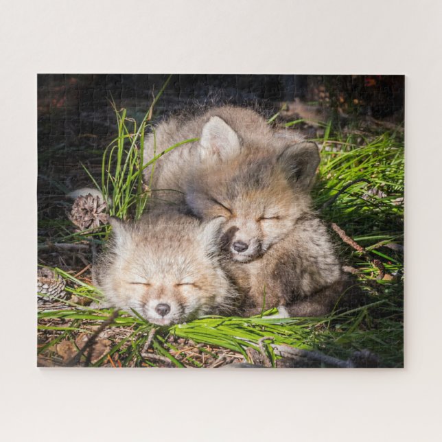 Cutest Baby Animals | Baby Red Fox Kits Sleeping Jigsaw Puzzle (Horizontal)