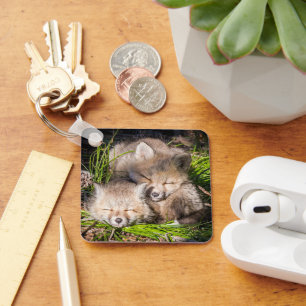 Cutest Baby Animals   Baby Red Fox Kits Sleeping Keychain