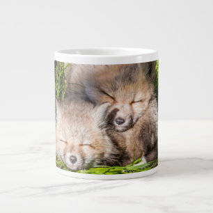 Cutest Baby Animals   Baby Red Fox Kits Sleeping Large Coffee Mug