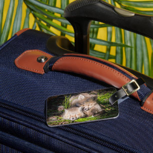 Cutest Baby Animals   Baby Red Fox Kits Sleeping Luggage Tag