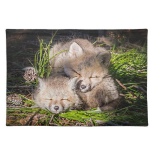 Cutest Baby Animals   Baby Red Fox Kits Sleeping Placemat