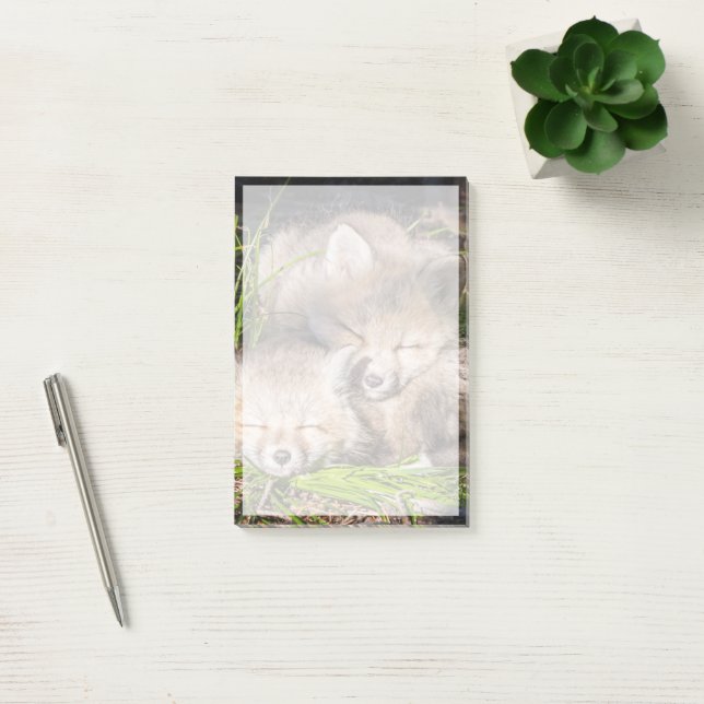 Cutest Baby Animals | Baby Red Fox Kits Sleeping Post-it Notes (Office)